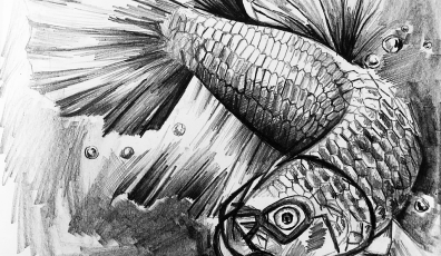 A drawing of a fish researching the sea.