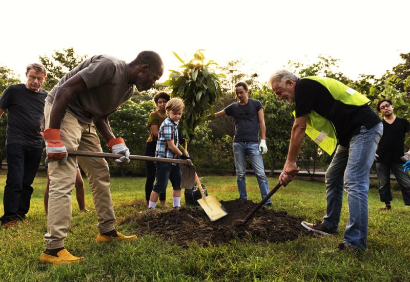 A group of people planting a tree
