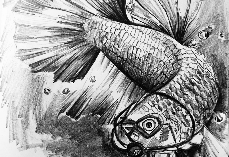 A drawing of a fish researching the sea.