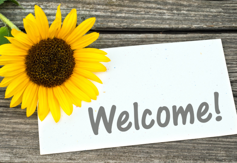 Sunflower and card with lettering welcome.