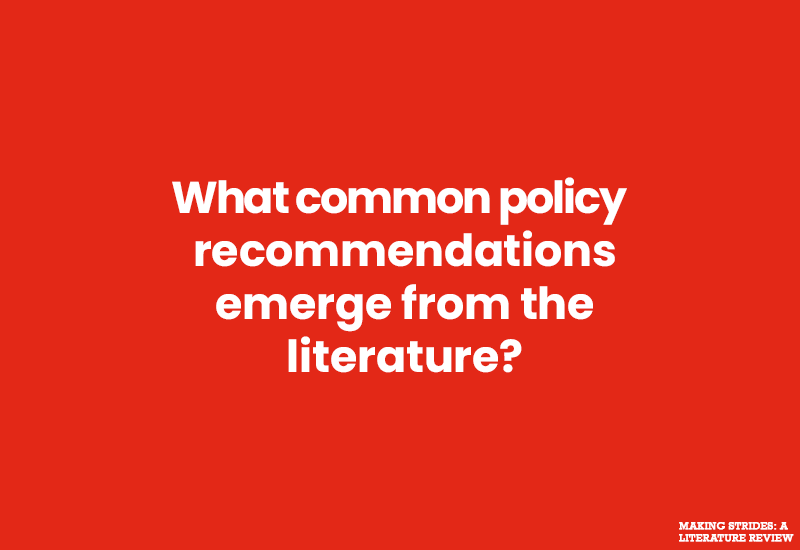 What common policy recommendations emerge from literature?