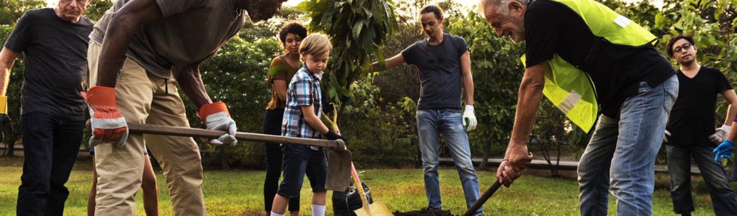 A group of people planting a tree