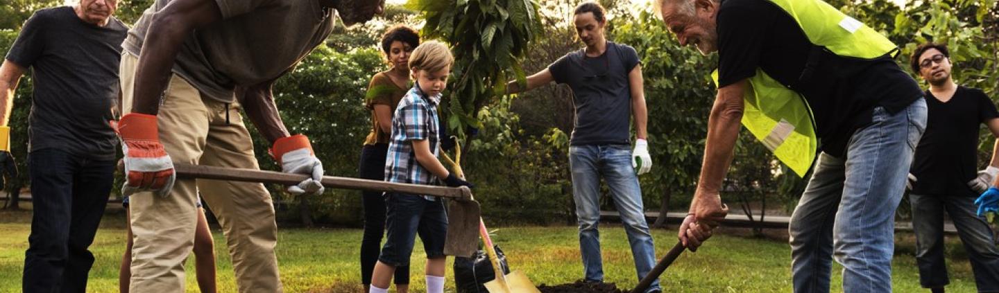 A group of people planting a tree in a community garden