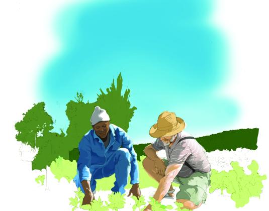 A refugee and volunteer gardening