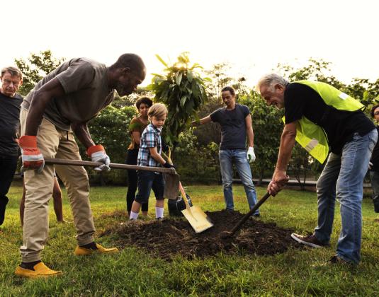 A group of people planting a tree