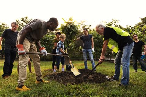 A group of people planting a tree