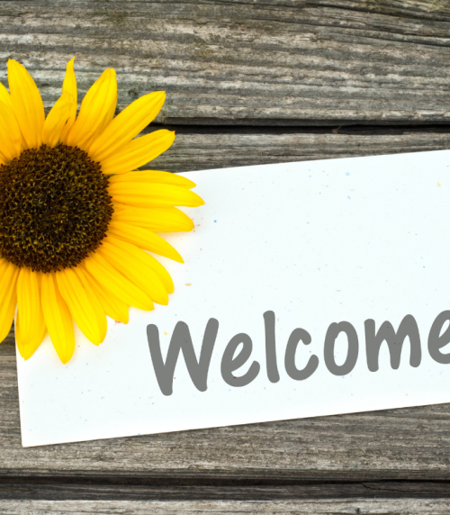 Sunflower and card with lettering welcome.