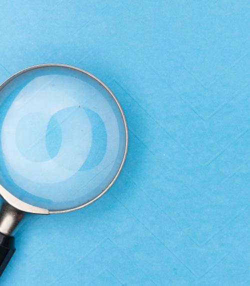 Information for Local Authorities